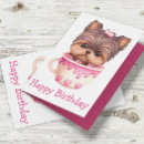 Search for teacup yorkie Cute dog
