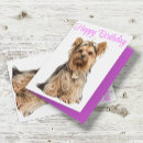 Search for yorkie birthday cards Puppy