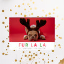 Search for pet lover christmas cards Funny