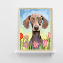 Search for weimaraner gifts Floral