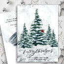 Search for winter cardinal cards Rustic