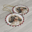 Search for pet supplies Cute