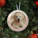 Search for new dog christmas tree decorations Puppy