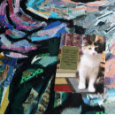 Search for sorry postcards Kitten