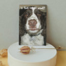 Search for funny animal cards invites dog