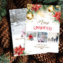 Search for red poinsettia christmas cards Watercolor