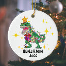 Search for baby dinosaur christmas tree decorations Gift