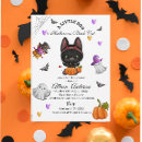 Search for pumpkin cat invitations A little boo
