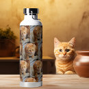 Search for dog water bottles cat