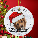 Search for first dog christmas tree decorations Pet photo