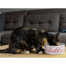 Search for pink cat bowls Kitten