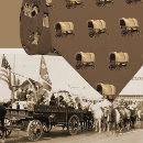 Search for covered ties Western