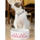Search for christmas cat supplies Kitten