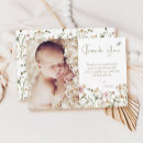 Search for wildflower cards Baby in bloom