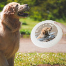 Search for lawn games dog frisbees