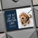 Search for funny dog new years cards Cute
