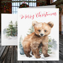 Search for grizzly bear cards Winter