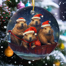 Search for capybara christmas tree decorations Cute