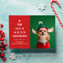 Search for animal lover christmas cards Red and white