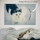 Search for cat posters White