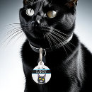 Search for cat supplies Lost