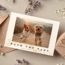 Search for cute christmas cards dog