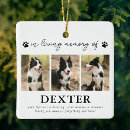 Search for loss pet memorial ornaments Remembrance