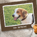 Search for beagle blankets Dog lover