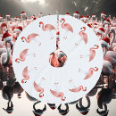 Search for coastal tree skirts Bird