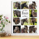 Search for loss of a horse gifts Photo collage