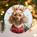 Search for naughty dog christmas tree decorations Keepsake