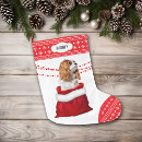 Search for cavalier king charles christmas stockings Pattern
