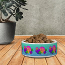 Search for turquoise pet bowls colourful