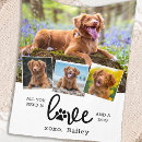 Search for dog mom blankets Photo collage