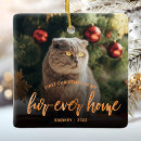 Search for feline christmas tree decorations Keepsake