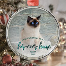 Search for pets christmas tree decorations Keepsake