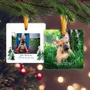 Search for animal christmas tree decorations Holiday photo