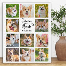 Search for dog memorial plaques Sympathy