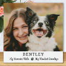 Search for hello pet supplies Remembrance