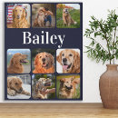 Search for pet memorial canvas prints Dog