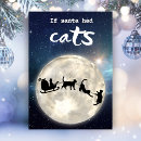 Search for funny sleigh christmas cards Black cat
