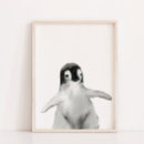 Search for penguin nursery Winter