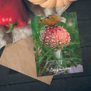 Search for red mushrooms postcards Fly agaric