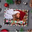 Search for merry funny christmas cards Dog