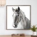 Search for vintage rodeo posters Horses