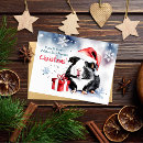 Search for funny pig postcards Pet