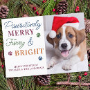 Search for furry and bright christmas cards Puppy