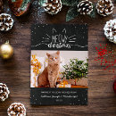 Search for black cat christmas cards Black and white