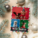 Search for pink and green christmas cards Funny