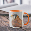 Search for kestrel mugs Raptor